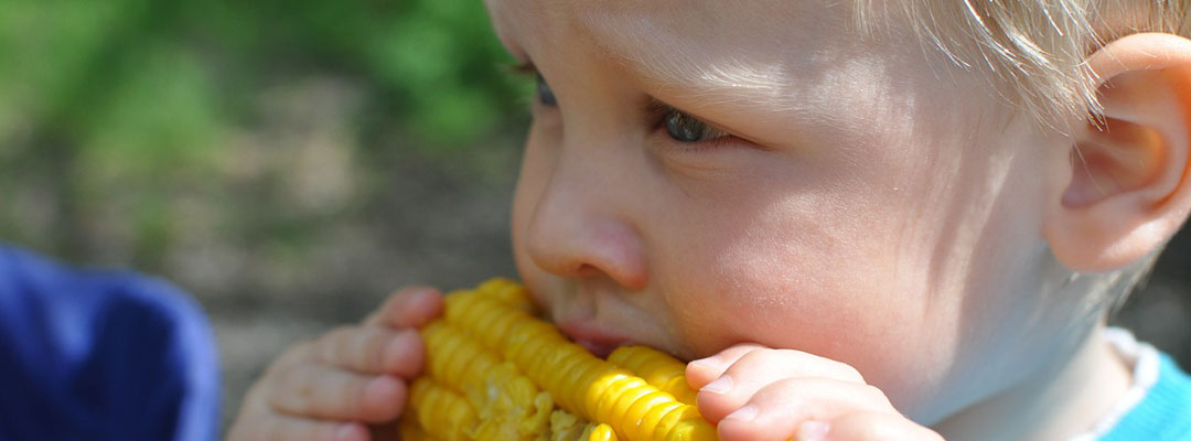 boy-eating-corn-on-the-cob